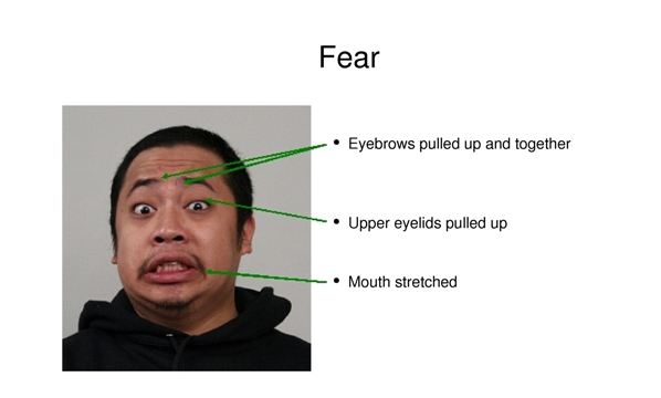 Scared Face Image, Scared Face, Afraid, Expression Face PNG