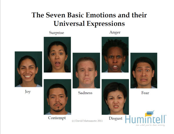 Arguments Against Facial Expressions