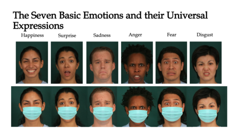 Microexpression Training- Reading People - Humintell